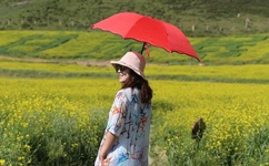 顶级大但人文艺术视频 音乐